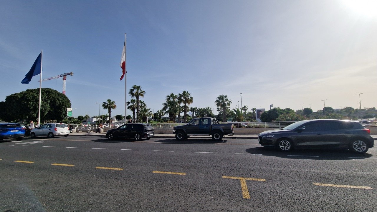 Malta airport palm trees